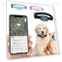 Mini GPS Tracker for Pets — Trackers, Vinde Home