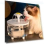 Automatic Circulating Water Dispenser for Pets — Feeding Supplies, GYROBALL