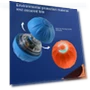 Automatic Moving Jumping Rolling Ball USB Smart Puppy Interactive Toy — Automatic Launchers, Homeware Essentials