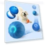 Interactive Jumping Toy — Cat Playthings, Super Dream Home