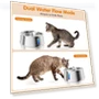 Transparent Touch Water Dispenser for Dogs — Feeding Supplies, Good Household Items