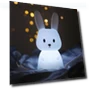 Cute Silicone Night Light with Rabbit, Whale, and Cat — Night Lights, DC-Home-2