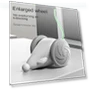 Interactive Cat Toy — Cat Playthings, Photography