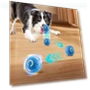 Interactive Smart Ball for Dogs — Cat Playthings, Meiteai-All