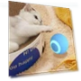 Interactive Smart Cat Ball — Cat Playthings, Dopamine Home