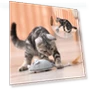 Smart Electric Mouse Toy — Cat Playthings, Pet Zooo