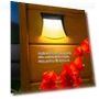 Solar-Powered Outdoor Wall Light — Garden Illumination, TaoPo Directs