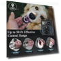 Ultrasonic Anti-Bark Device for Dogs — Sonic Deterrents, Pet park