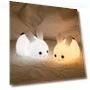 Portable USB Rechargeable Hugging Sensor Night Light — Night Lights, Zhou Yajin