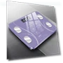 Smart Body Fat Scale — Weight Management Tools, Factory Discount Outlet