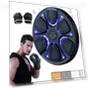 Smart Music Boxing Trainer — Boxing Training Gear, Binchi Keji Travel