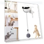 Automatic Electric Cat Ball Toy — Cat Playthings, Refreshing Home