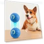 Automatic Rolling Ball Smart Interactive Cat Toy — Cat Playthings, Yiran Furniture