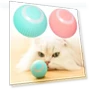 Automatic Rolling Interactive Pet Toy Ball — Automatic Launchers, kuanhong