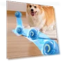 Automatic Rolling Pet Toy — Exercise Wheels, Exquisite pets