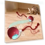 Interactive Ball for Cats — Cat Playthings, Happy6