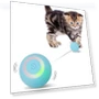 Interactive Cat Toy Ball — Cat Playthings, Holland Lec
