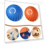 Interactive Pet Ball — Automatic Launchers, RW-MARTKE