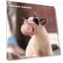 Interactive Pet Toy Ball — Cat Playthings, My Pet BOBO