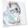 Smart Teasing Collar for Cats — Cat Playthings, Winnerer Saturn