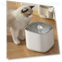 Automatic Pet Water Fountain — Pet Hydration Solutions, Cosy Homes