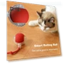 Interactive Cat Toy with Rolling Ball — Cat Playthings, Kitty Cat House