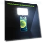 Mini Clip-on LED Light Selfie Light — Selfie Lights, AE Selection