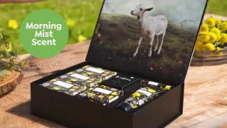 Beekman 1802 Morning Mist Goat Milk Bounty Box AutoShip