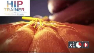 Миостимулятор HIP Trainer для ягодиц  Миостимулятор HIP Trainer отзывы  Тренажер для ягодиц