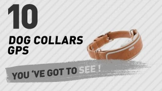 Dog Collars Gps // Top 10 Most Popular