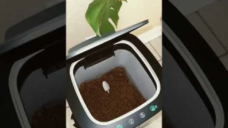 Reencle Indoor Composter Review