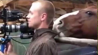 Помощник оператора