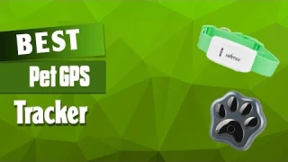 Top 5 Best Pet GPS Tracker Review - Pet Trackers On Aliexpress Every Pet Owner Needs
