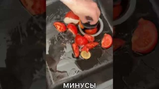 Измельчитель пищевых отходов, год использования