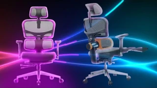 Is this your next Office Chair? - Newtral NT002