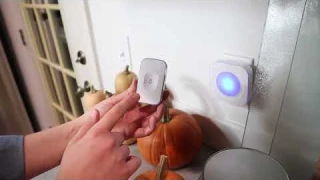 Wireless Doorbell Plug in Reviw 2023 | Doorbell Button 36 Melodies 4 Volume 2 Receivers
