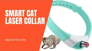 Smart cat laser collar