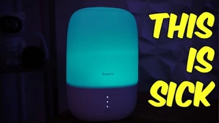 Review of the GoveeLife Smart Humidifer! Works with Alexa, Essential Oils, App Control &amp; More!