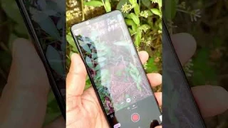 SONY xperia 5 Mark 2 Camera Review