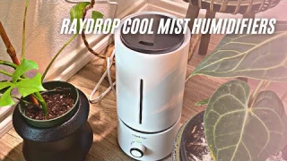 Raydrop Cool Mist Humidifiers Review & User Manual | 1.70 L Quiet and Small Ultrasonic Humidifier