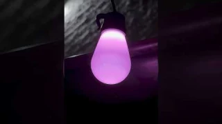 Govee LED Bulb String Lights Unboxing