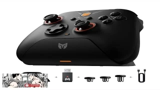 BIGBIG WON Wireless Controllers Gale Hall PC Controllers Motion Control Hall Review