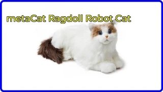 Review: metaCat Ragdoll Robot Cat. ESSENTIAL details.