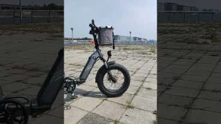 FAFREES FF20 POLAR TWIN BATTERY E-BIKE CRUISER
