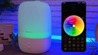 Govee Humidifier (Govee Home &amp; assistant ready)