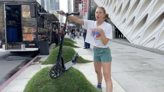We bought an adult scooter...